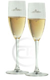 Champagne Tours.net - Champagne Treatment for all New Customers